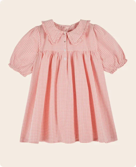 2026 SS Summer Embroidered flowers Girl Denim Dress EM Pleated Kids Short Sleeve Princess Dresses Clothes